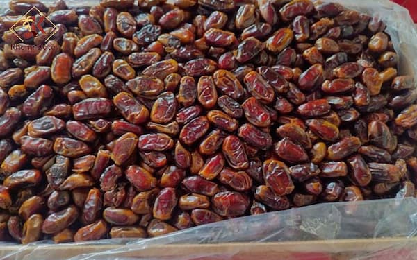 خرید و قیمت خرما صادراتی بدون هسته + فروش عمده